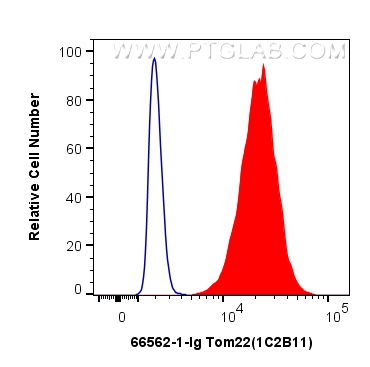 FC experiment of HEK-293 using 66562-1-Ig