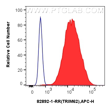 FC experiment of HeLa using 82892-1-RR (same clone as 82892-1-PBS)