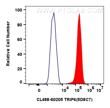 FC experiment of HeLa using CL488-60205