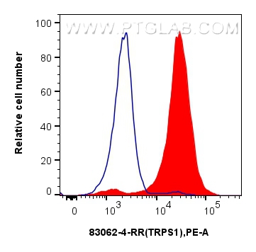 FC experiment of MCF-7 using 83062-4-RR (same clone as 83062-4-PBS)