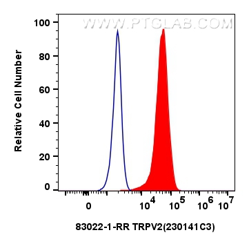 FC experiment of K562 using 83022-1-RR