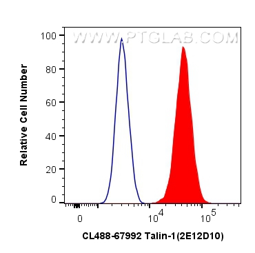 FC experiment of HeLa using CL488-67992