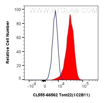 FC experiment of HEK-293 using CL555-66562