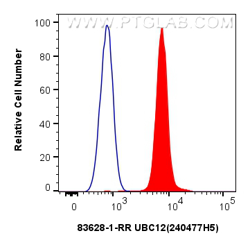 FC experiment of HEK-293 using 83628-1-RR