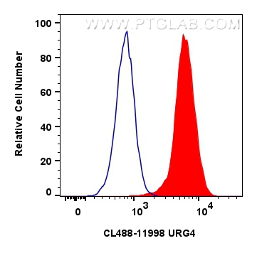 FC experiment of HEK-293 using CL488-11998