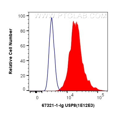 FC experiment of HeLa using 67321-1-Ig (same clone as 67321-1-PBS)