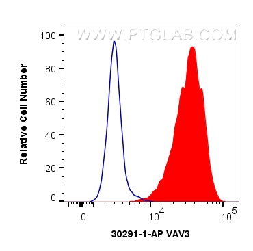 FC experiment of Jurkat using 30291-1-AP