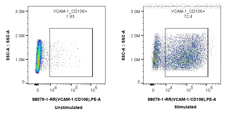 FC experiment of HUVEC using 98079-1-RR (same clone as 98079-1-PBS)