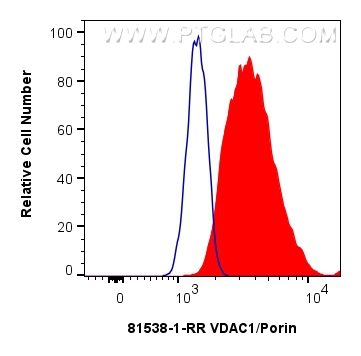 VDAC1/Porin