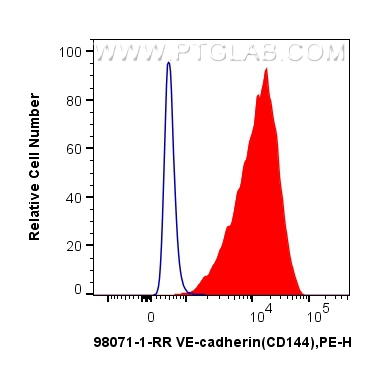 FC experiment of HUVEC using 98071-1-RR