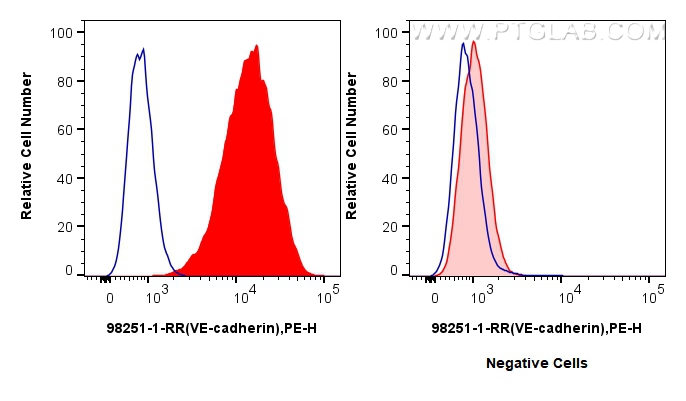 FC experiment of bEnd.3 using 98251-1-RR