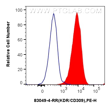FC experiment of HUVEC using 83049-4-RR
