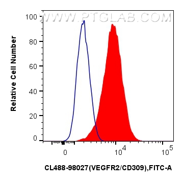 FC experiment of bEnd.3 using CL488-98027