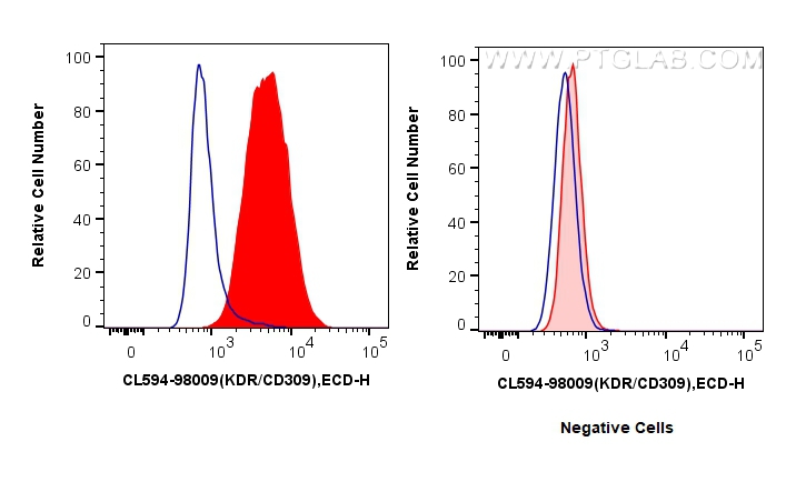 VEGFR2/CD309