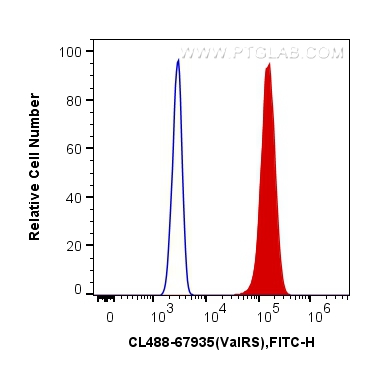 FC experiment of HeLa using CL488-67935