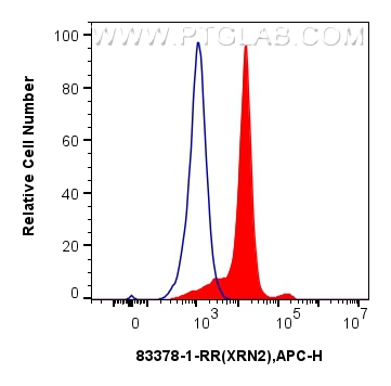 FC experiment of HeLa using 83378-1-RR (same clone as 83378-1-PBS)