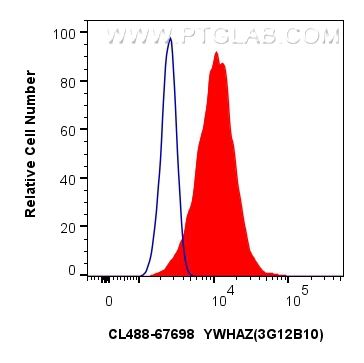 FC experiment of MCF-7 using CL488-67698