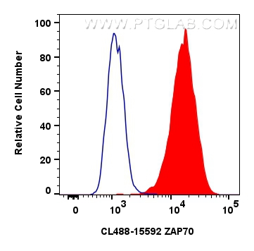 FC experiment of Jurkat using CL488-15592