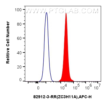 ZC3H11A