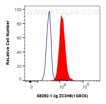 FC experiment of HEK-293 using 68282-1-Ig