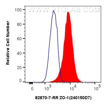 FC experiment of MCF-7 using 82870-7-RR