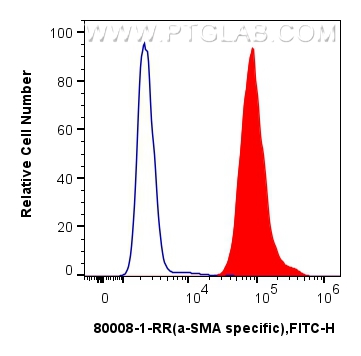 FC experiment of C2C12 using 80008-1-RR