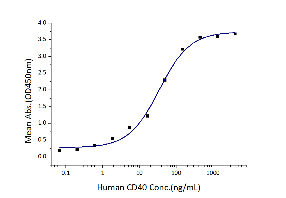 Immobilized Human CD40L (His tag) at 2 μg/mL (100 μL/well) can bind Human CD40 (Myc tag, His tag) with a linear range of 17-68 ng/mL.