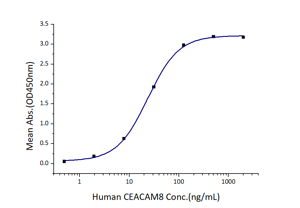 Immobilized Human CEACAM6 (Myc tag, His tag) at 2 μg/mL (100 μL/well) can bind Human CEACAM8 (hFc tag) with a linear range of 12-46 ng/mL.