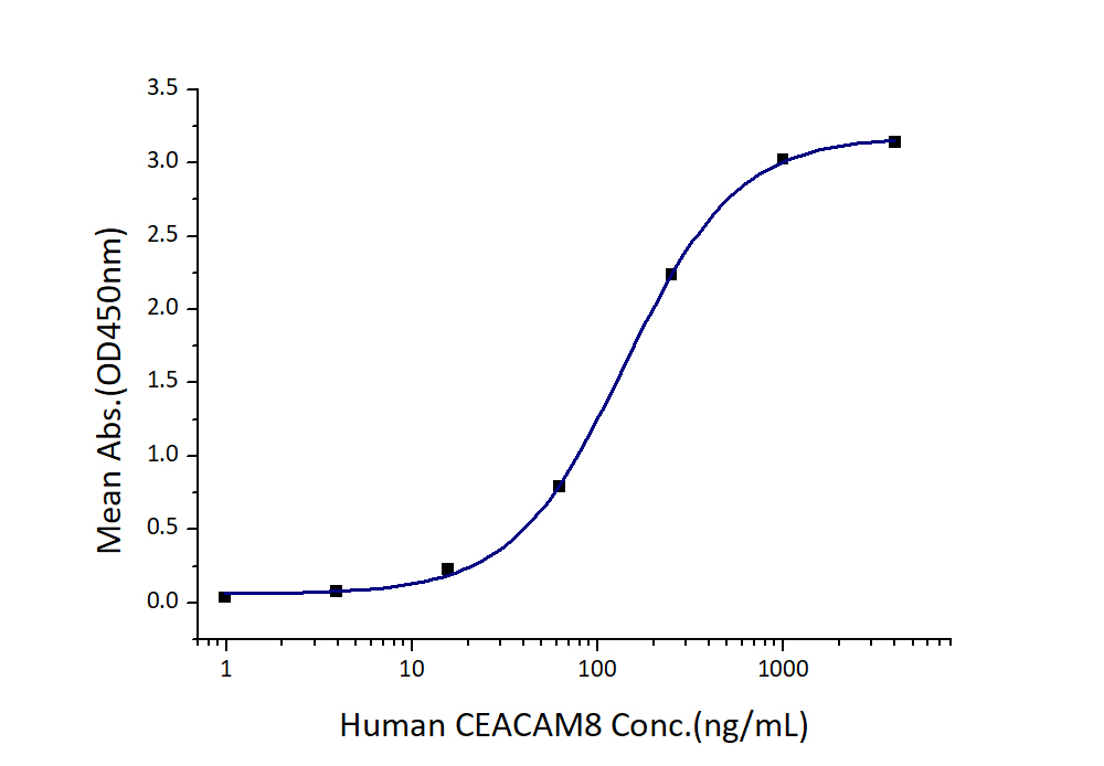 Immobilized Human CEACAM1 (His tag) at 2 μg/mL (100 μL/well) can bind Human CEACAM8 (hFc tag) with a linear range of 70-280 ng/mL.