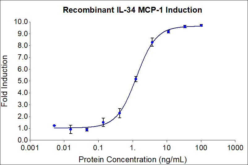 Recombinant human IL-34 induces dose-dependent release of MCP-1 in human peripheral blood mononuclear cells (PBMCs). PBMCs were treated with increasing concentration of IL-34 for 48 hours before supernatant collection. The supernatant was tested for MCP-1 via ELISA kit. The EC50 was determined using a 4-parameter non-linear regression model. Activity determination was conducted in triplicate on a validated bioassay. The EC50 range is 0.45-4.5 ng/mL. 