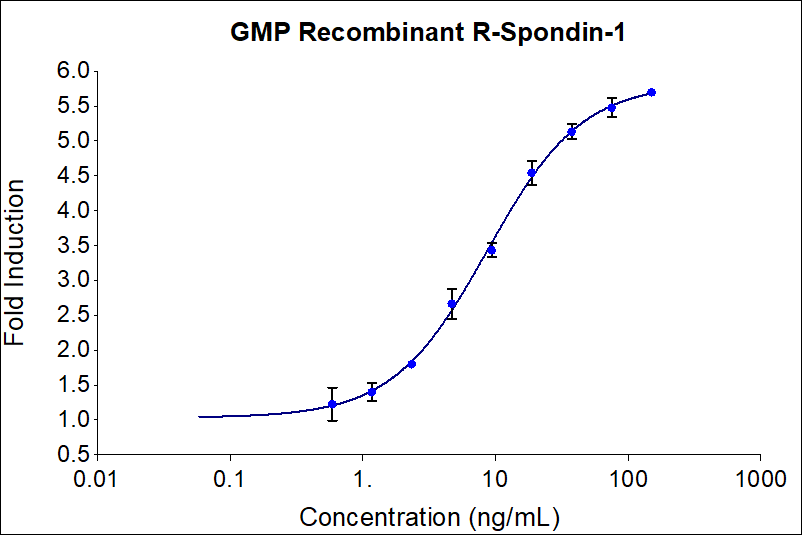 GMP Recombinant human R-Spondin-1 (HZ-1328-GMP) induces dose-dependent luciferase production in a HEK293 TCF/LEF reporter cell line. Luciferase production was assessed by One-Step™ luciferase assay Kit. HEK293 TCF/LEF reporter cells were treated with increasing concentrations of recombinant R-Spondin-1 for 6 hours. The EC50 was determined using a 4-parameter non-linear regression model. Activity determination was conducted in triplicate on a validated bioassay. The EC50 Range is 4-20 ng/mL. 
