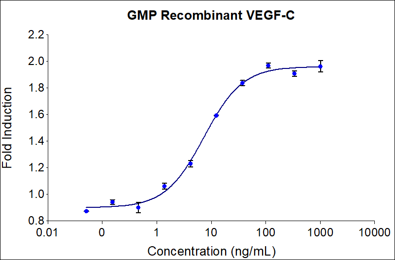 Recombinant human VEGF-C  (HZ-1336) induces dose-dependent luciferase production in a HEK293T reporter cell line. Luciferase assay production was assessed by One-Step™ luciferase assay Kit. HEK293T reporter cells were treated with increasing concentrations of recombinant VEGF-C for 18 hours. The EC50 was determined using a 4-parameter non-linear regression model. Activity determination was conducted in triplicate on a validated bioassay.  The EC50 range is 2-16 ng/mL.