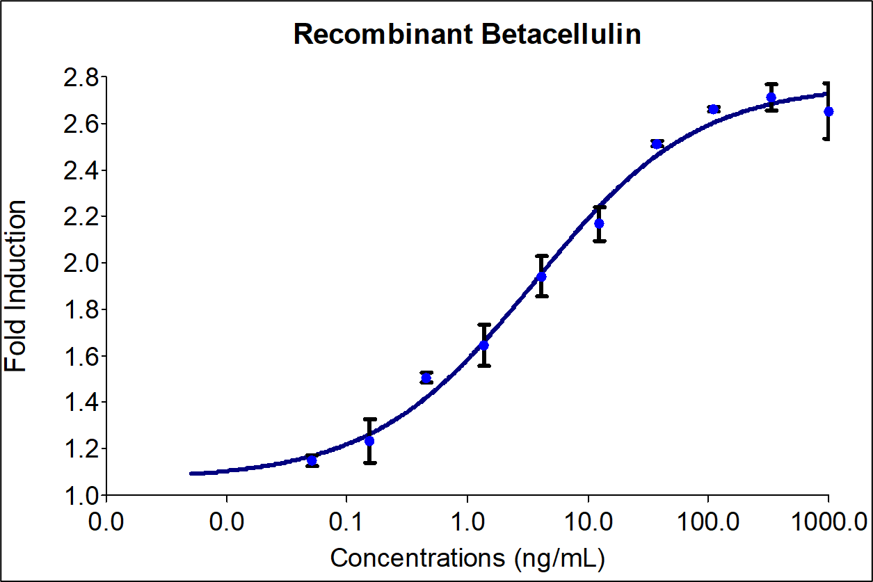 Recombinant human Betacellulin (HZ-1339) stimulates dose-dependent proliferation of the NIH/3T3 mouse fibroblast cell line. Viable cell number was quantitatively assessed by Prestoblue Cell Viability Reagent. NIH/3T3 cells were serum starved during treatment with increasing concentrations of recombinant human Betacellulin for 72hrs in defined medium. The EC50 was determined using a 4- parameter non-linear regression model. The EC50 values range from 1 - 10ng/mL.