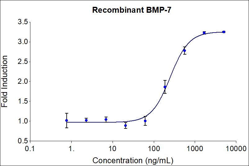 Recombinant human BMP-7 (HZ-1229) stimulates dose-dependent induction of alkaline phosphatase production in the ATDC-5 mouse chondrogenic cell line. Alkaline phosphatase production was assessed using pNPP as a chromogenic substrate. ATDC-5 cells were treated with increasing concentrations of recombinant human BMP-7 for 72 hours before lysis and addition of pNPP. The EC50 was determined using a 4-parameter non-linear regression model. The EC50 values range from 50-275 ng/ml.