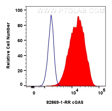 FC experiment of A431 using 82869-1-RR (same clone as 82869-1-PBS)