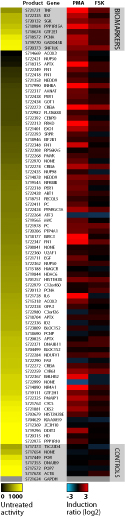 Heatmap data showing the untreated activity and induction response for each construct in the CREB Pathway Profiling Plate using HeLa human cervical cancer cells treated with 100 nM PMA for 4 hours or with 40 uM forskolin for 4 hours