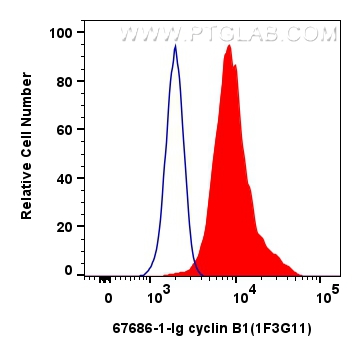 FC experiment of HeLa using 67686-1-Ig