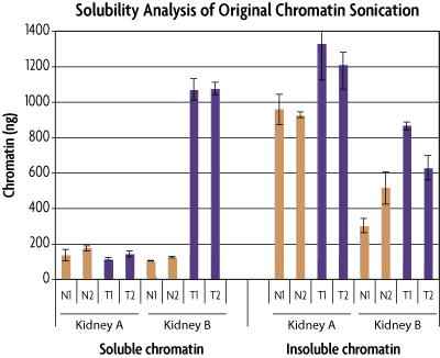 Solubility of chromatin after sonication