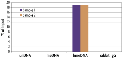 Specificity of 5-hmC enrichment with hMeDIP Kit