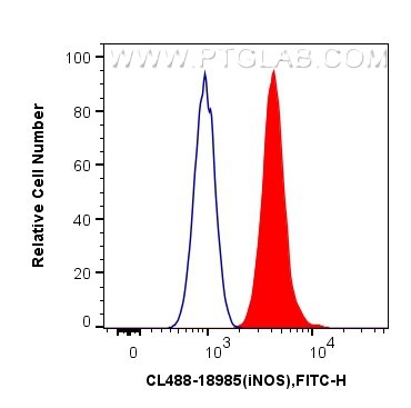 FC experiment of HepG2 using CL488-18985