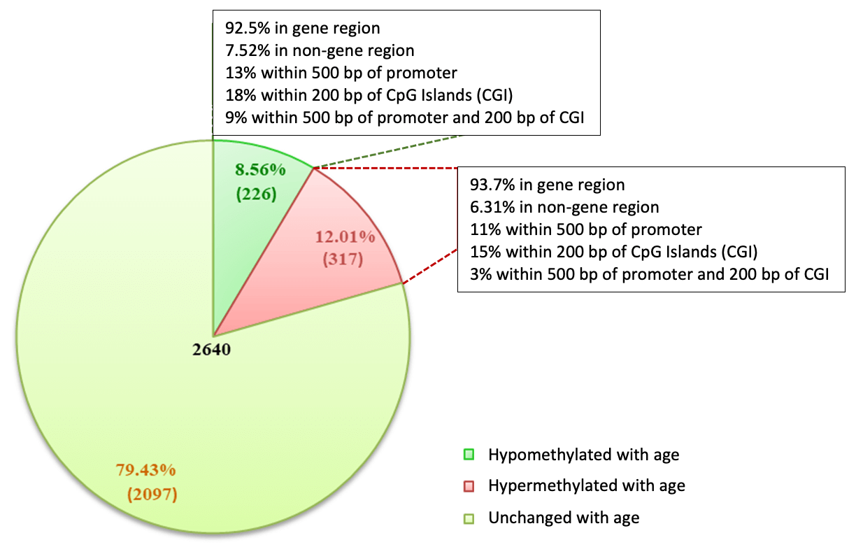 MeDIP-Seq uncovers aging-associated differential methylation patterns in cfDNA