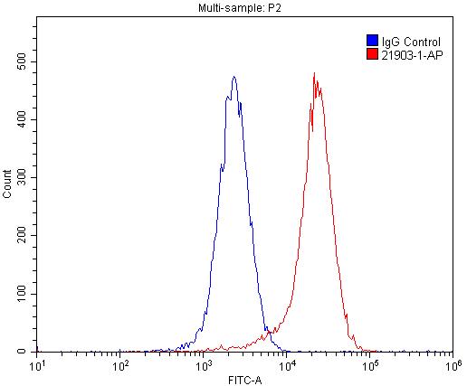 Nectin-4/PVRL4