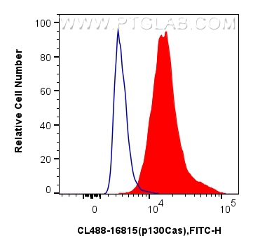 FC experiment of A431 using CL488-16815