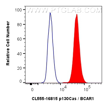 FC experiment of A431 using CL555-16815