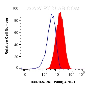 FC experiment of THP-1 using 83078-5-RR