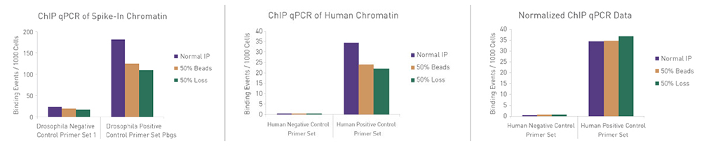 qPCR analysis