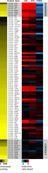 Heatmap data showing the untreated activity and induction response for each construct in the SREBP Pathway Profiling Plate using Hep G2 human hepatocarcinoma cells treated with 1 uM lovastatin, 5 ug/ml synthechol or 1 uM U18666A for 24 hours